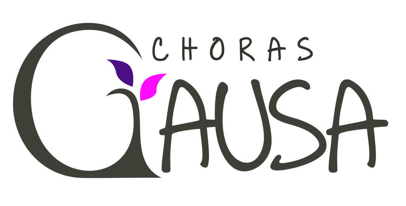 chorasgausa.lt